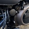 Cover Caps (with radius) swingarm axle - Sportster S 1250