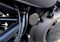 Cover Caps (with radius) swingarm axle - Sportster S 1250