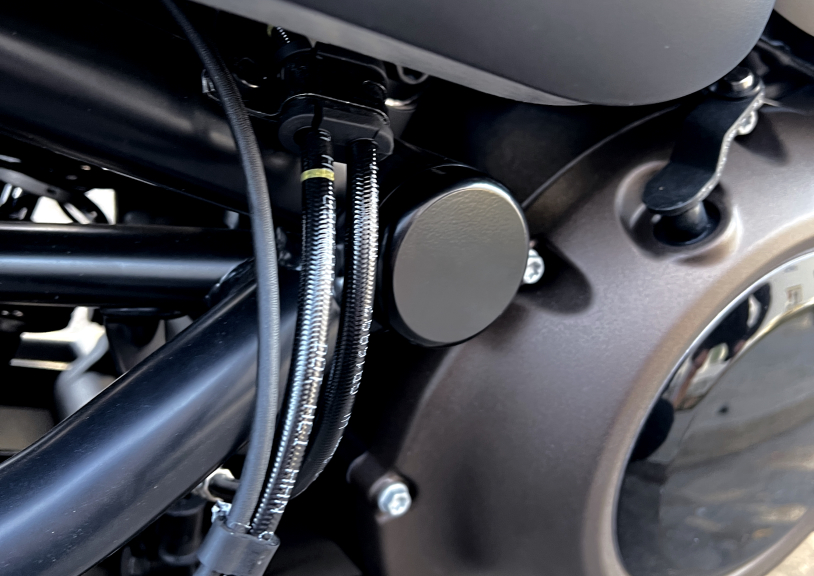 Cover Caps (with radius) swingarm axle - Sportster S 1250 - Click Image to Close